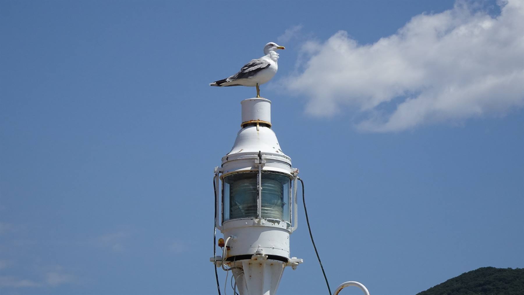 Foto di viaggio in ITALIA