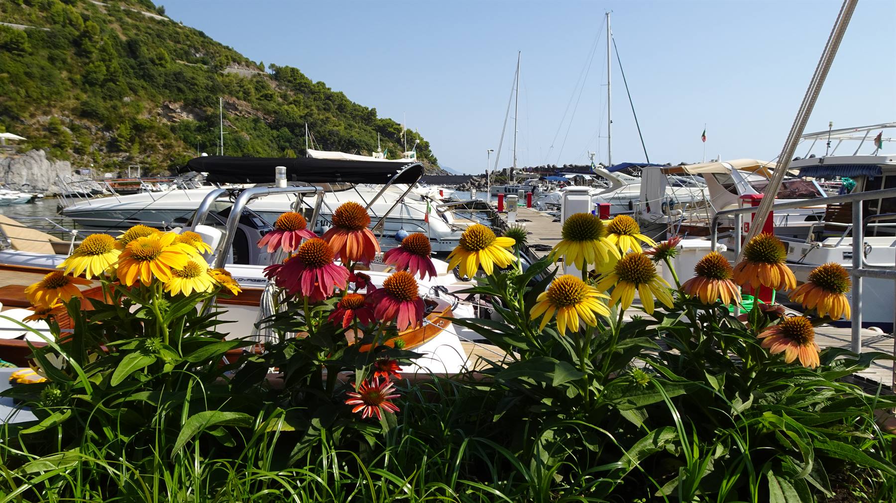 Foto di viaggio in ITALIA