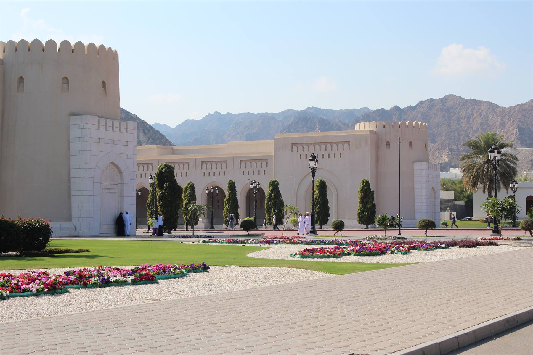 Forte bianco tra i fiori, montagne d'orizzonte: Oman ci accoglie.