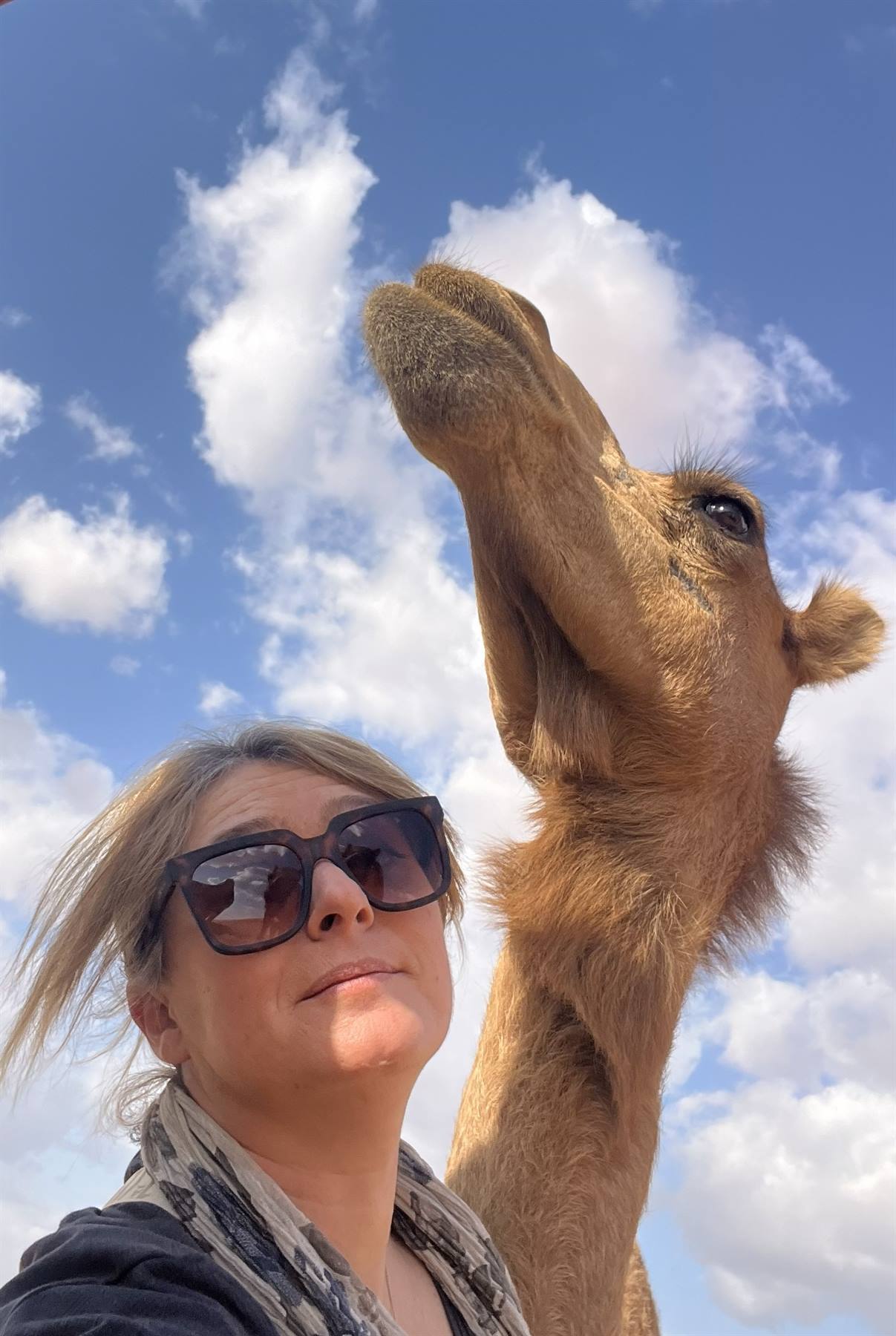 Un amico curioso e il cielo azzurro: che incontro meraviglioso!