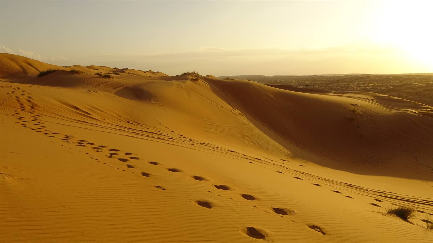 Foto di viaggio in OMAN