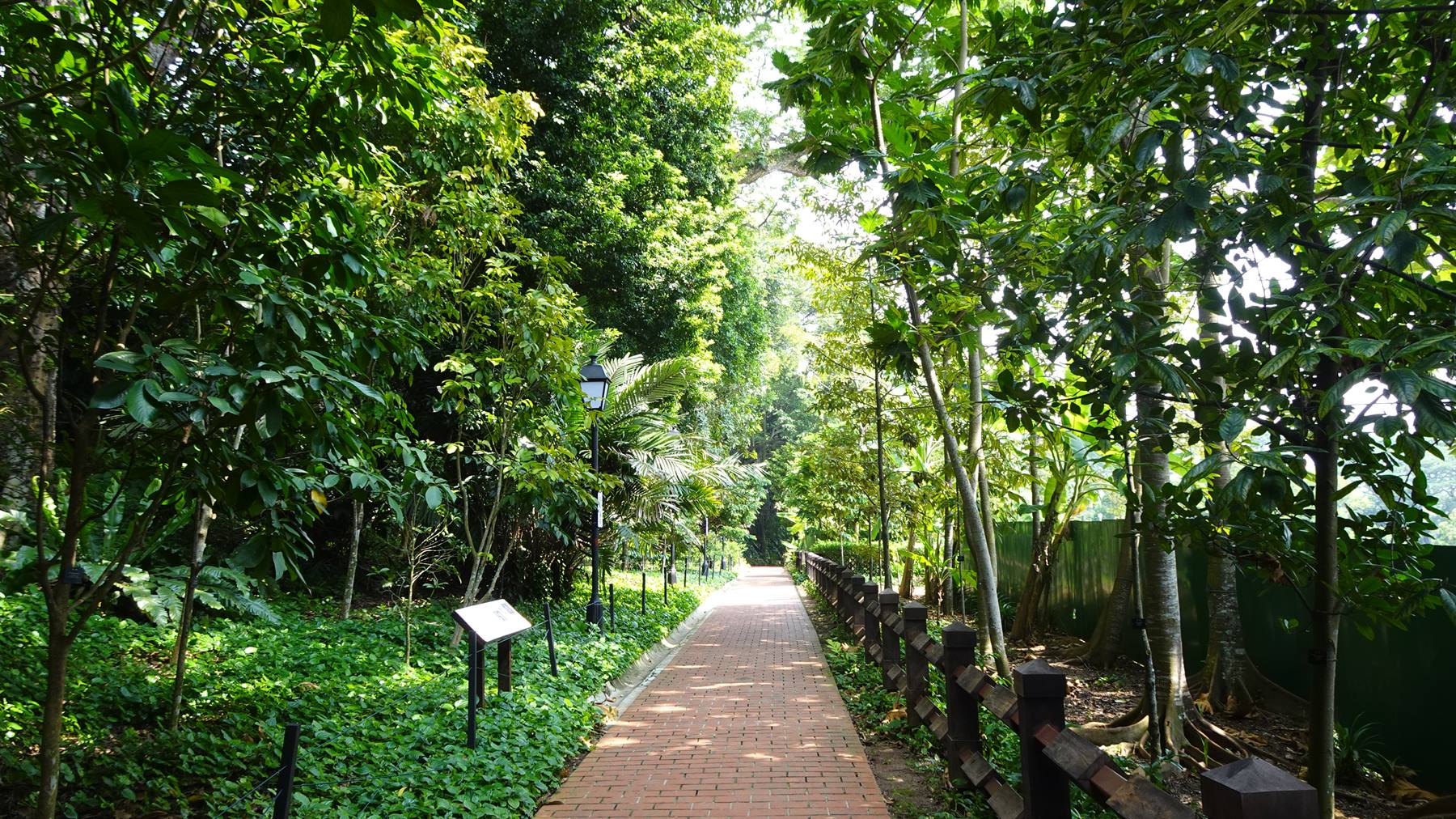 Foto di viaggio in SINGAPORE