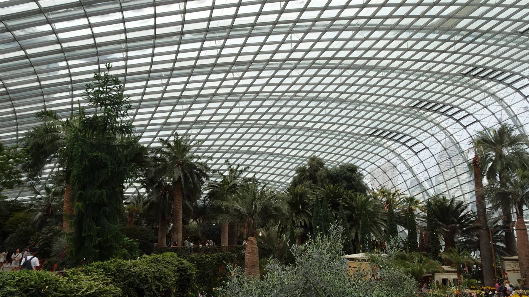 Sotto la grande cupola di vetro, un angolo di tropici da ricordare.