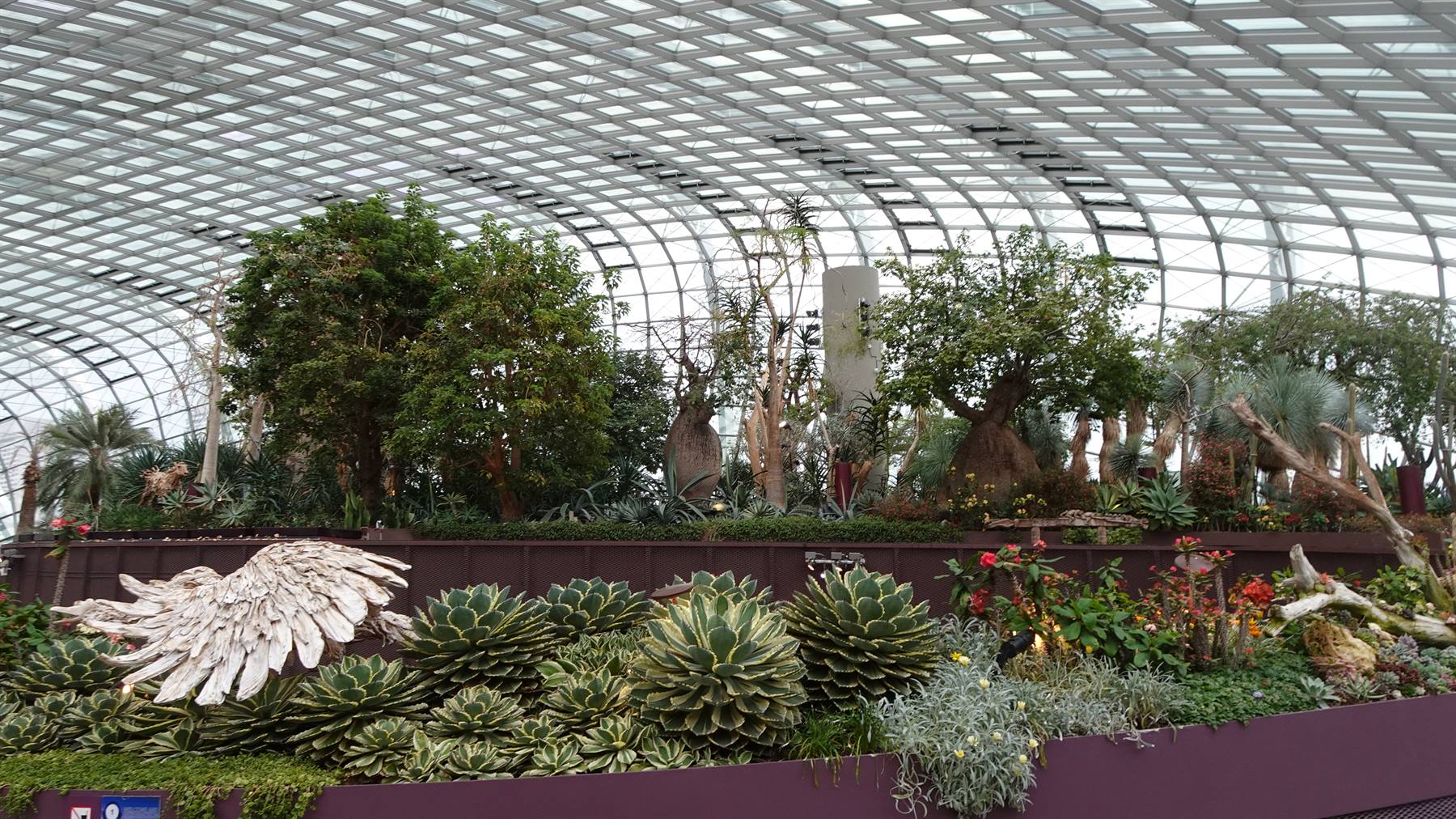 Un giardino sotto vetro, dove il mondo intero fiorisce piano.