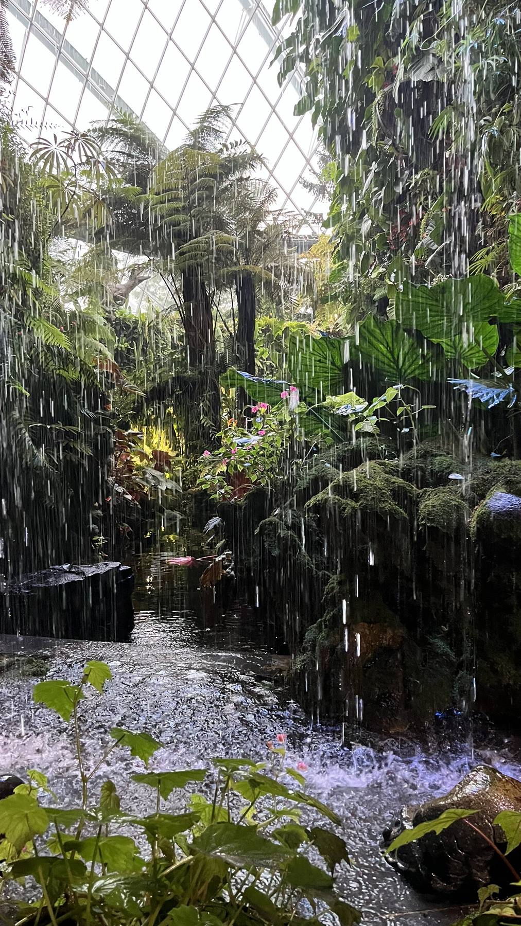 La foresta tropicale che piove dentro una sfera di vetro ?