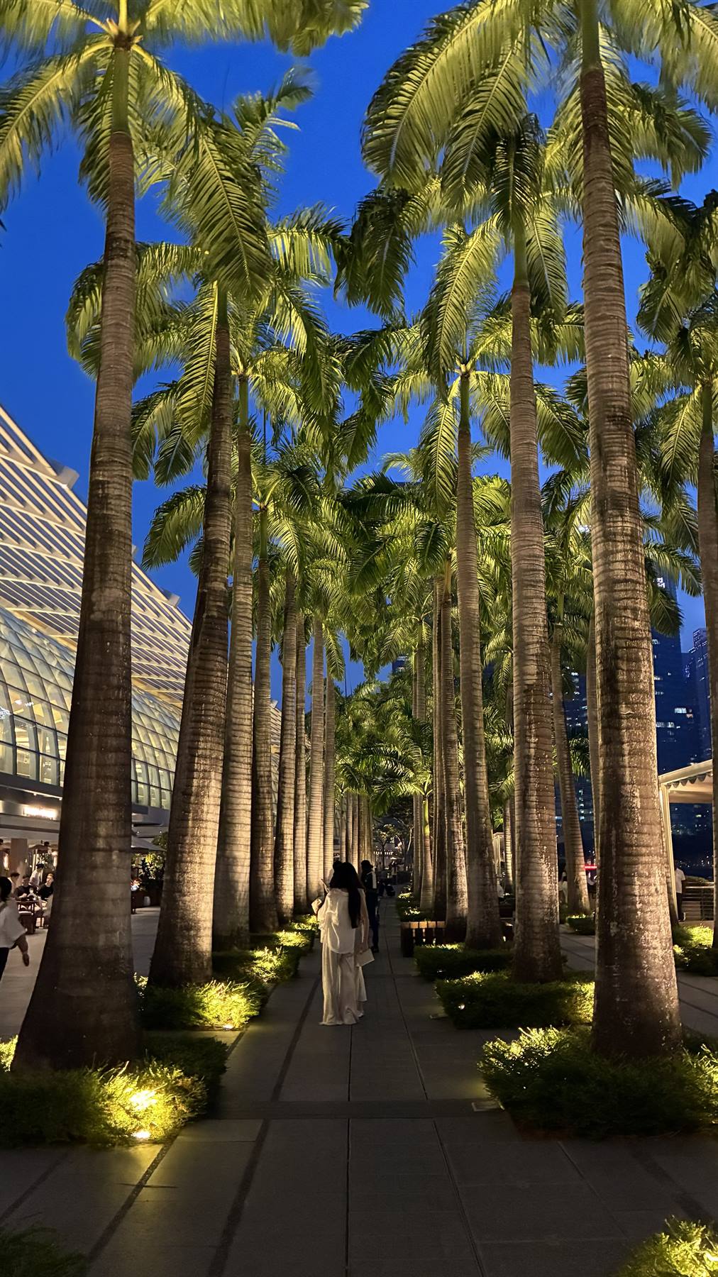 Foto di viaggio in SINGAPORE