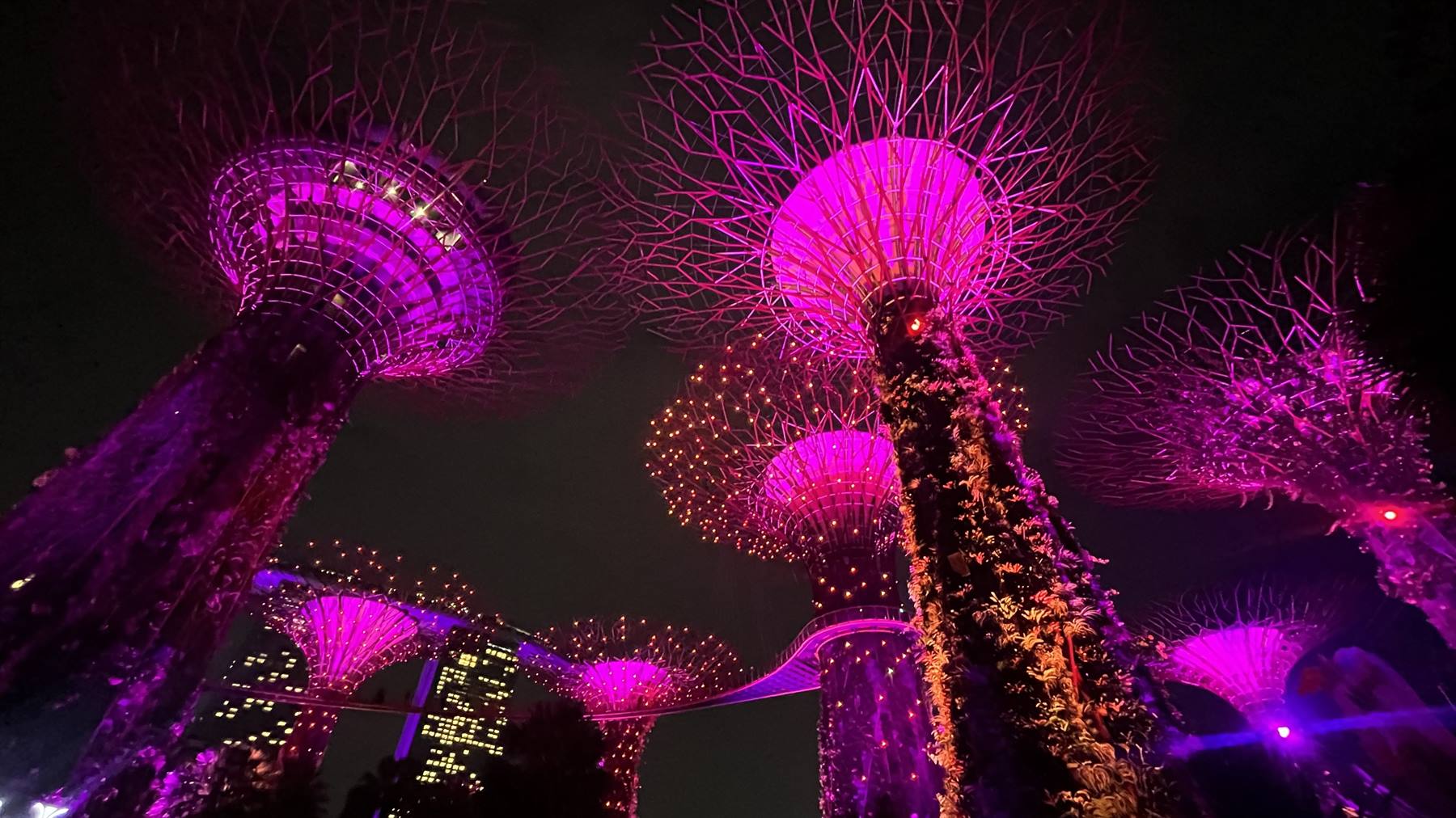 Foto di viaggio in SINGAPORE