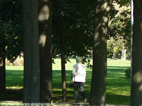 Passeggio nel verde