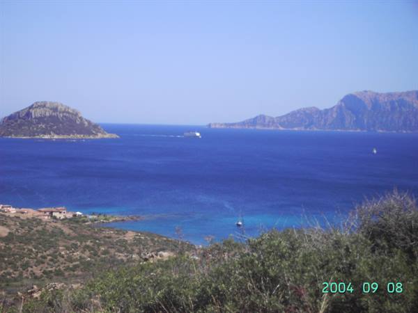 CON I NOSTRI AMICI...........