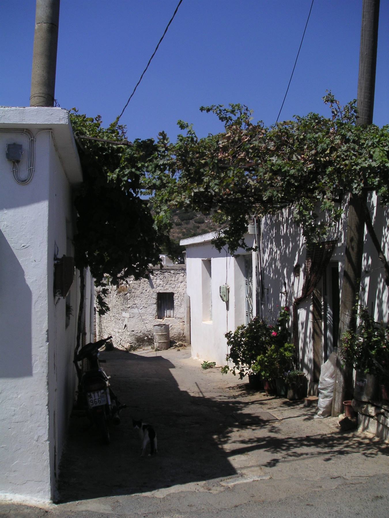 Dreros