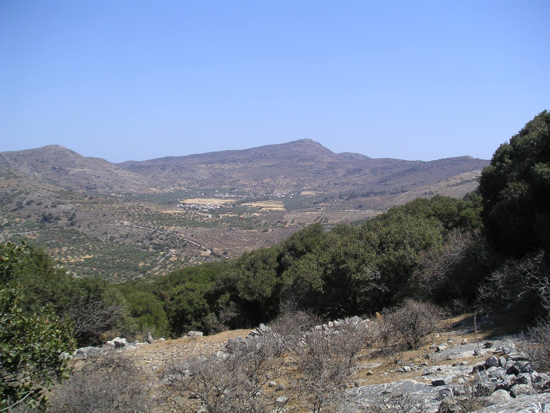 Dreros
