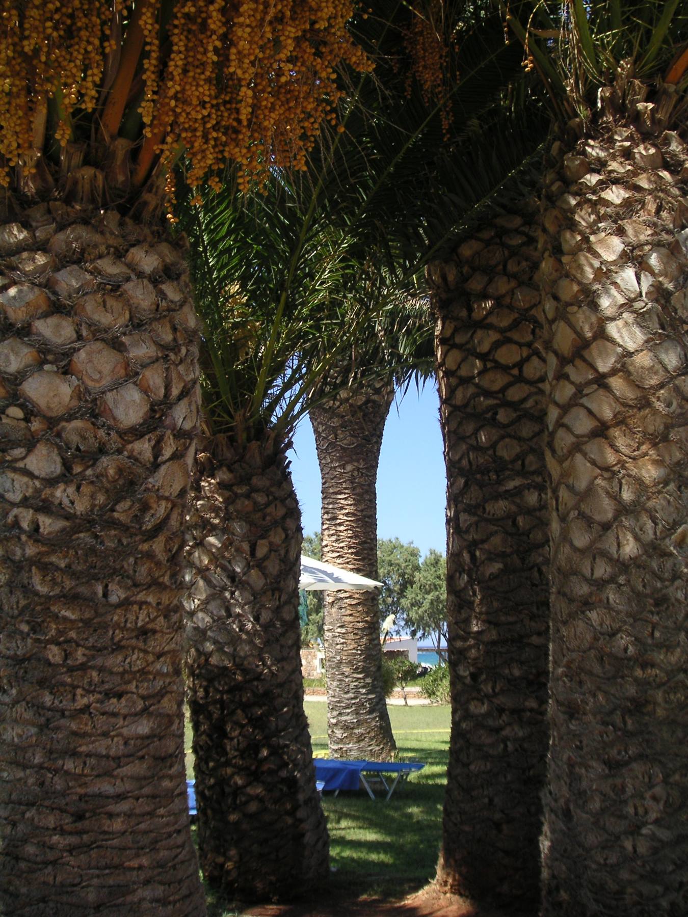 Malia - hotel kernos beach