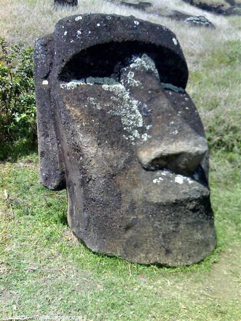 RAPA NUI