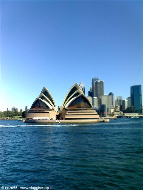 AUSTRALIA l'isola dei canguri