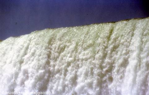 Niagara
