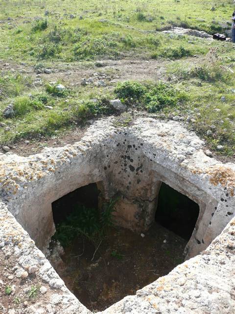 THAPSOS