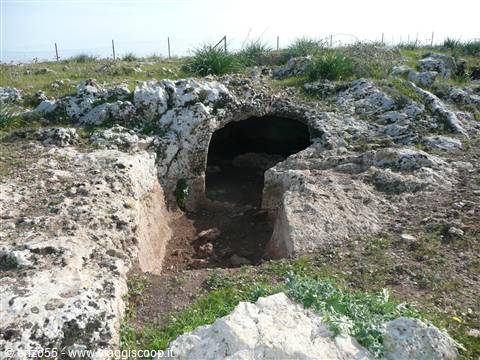 THAPSOS