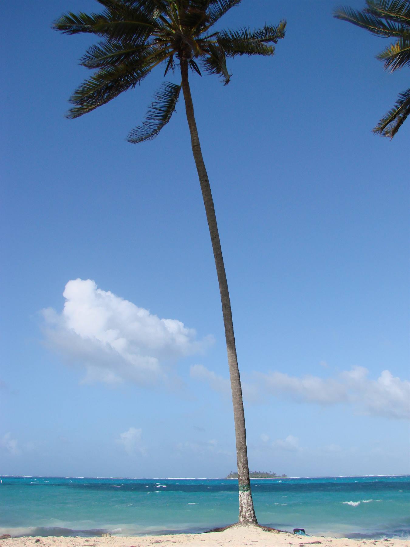 Jhonny Cay - Sardina Bay - El CEntro - San Andres Isla