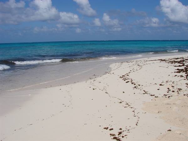 Jhonny Cay