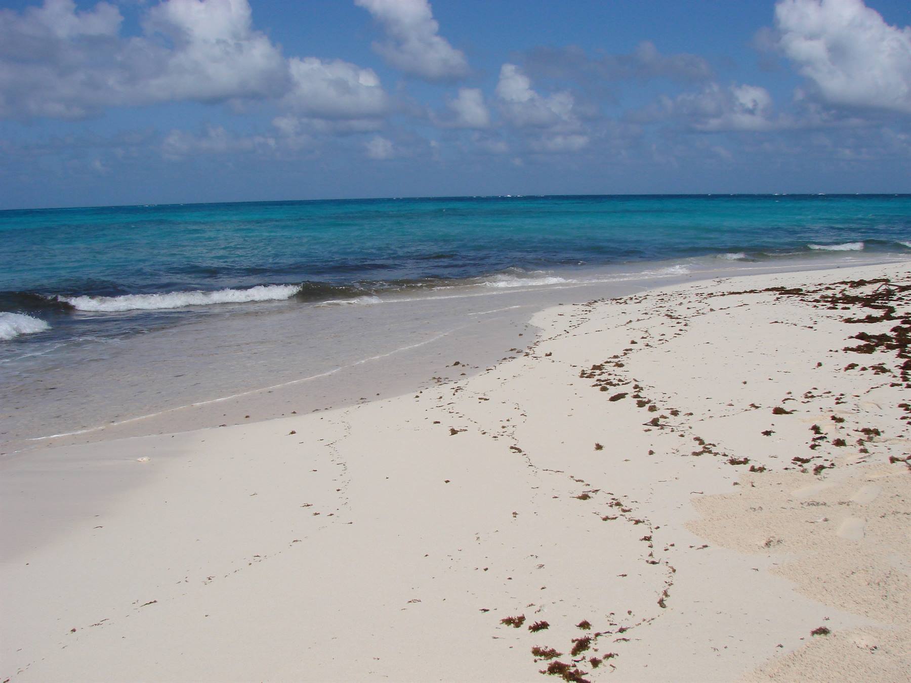Jhonny Cay