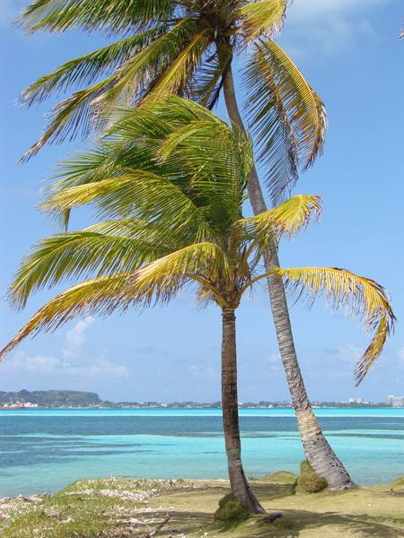 Haynes Cay