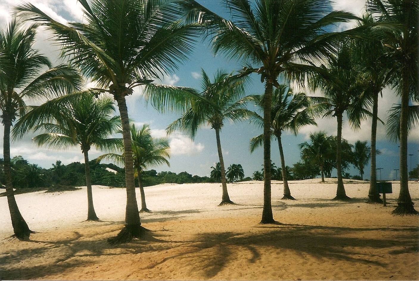 Foto di viaggio in BRASILE