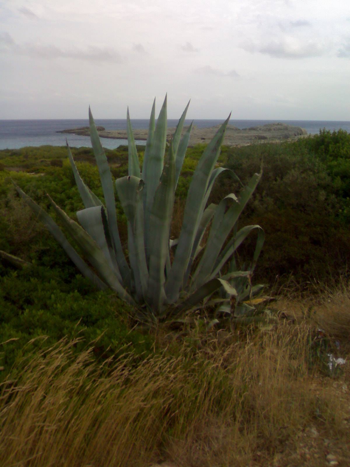 Foto di viaggio in SPAGNA
