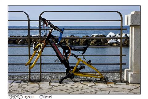 dettaglio