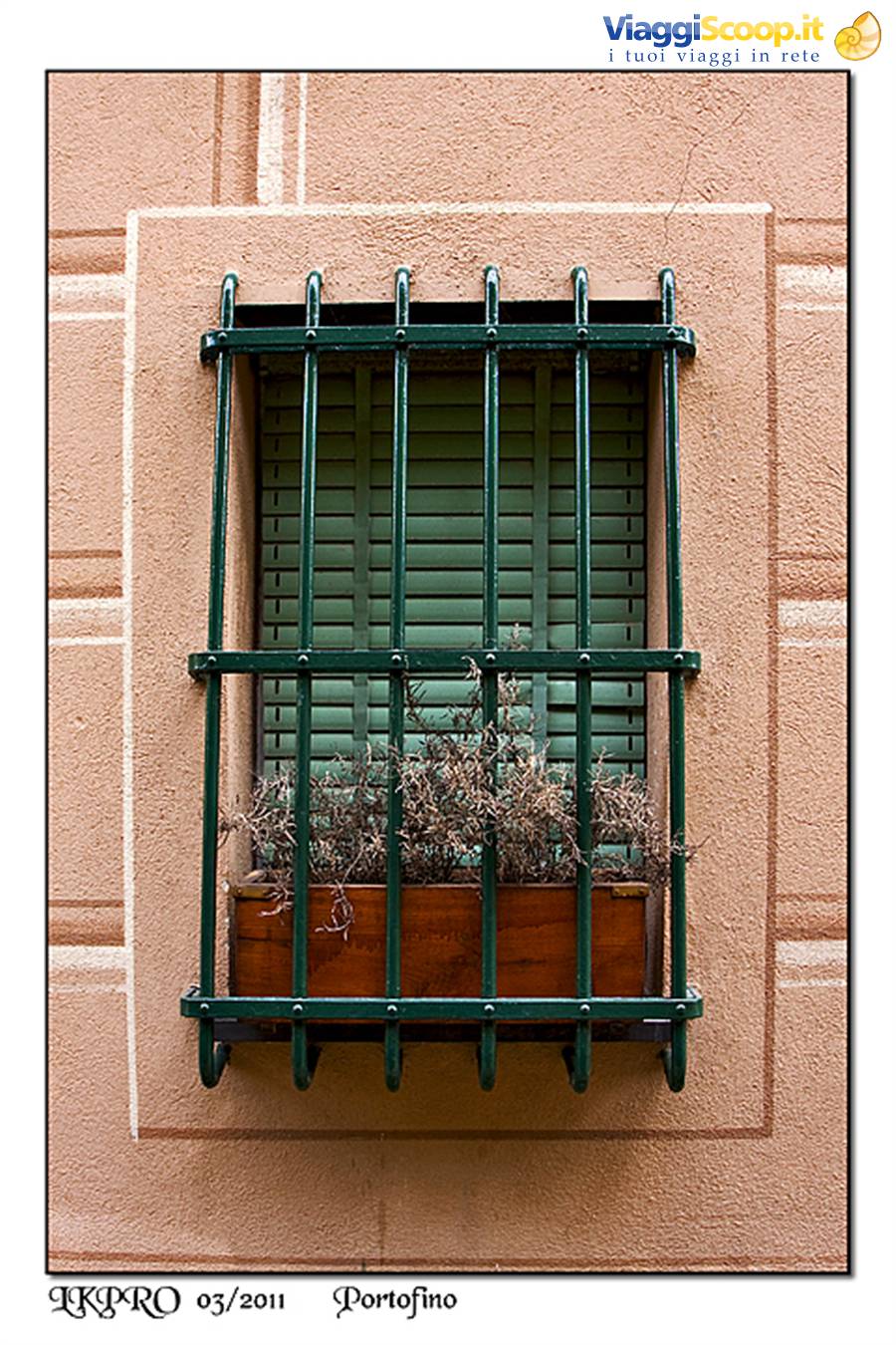 dettaglio