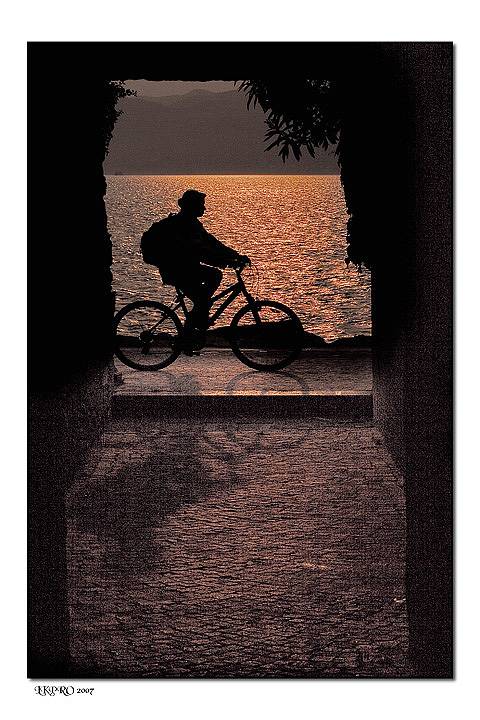 lazise