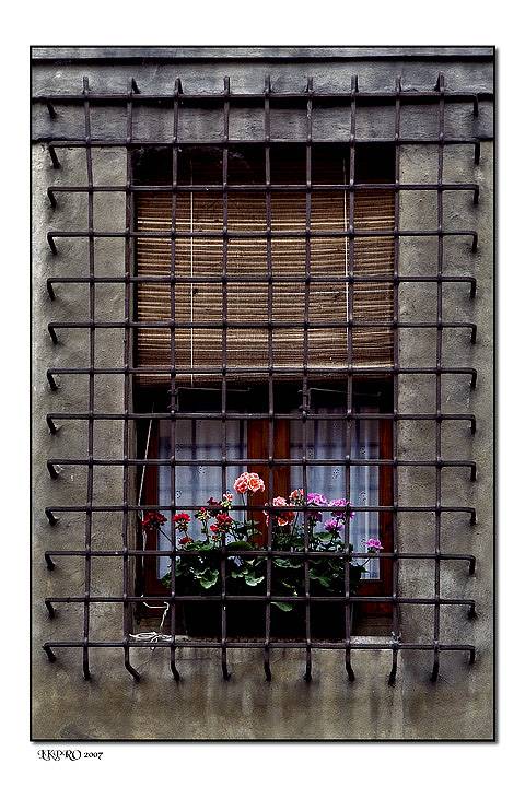mantova