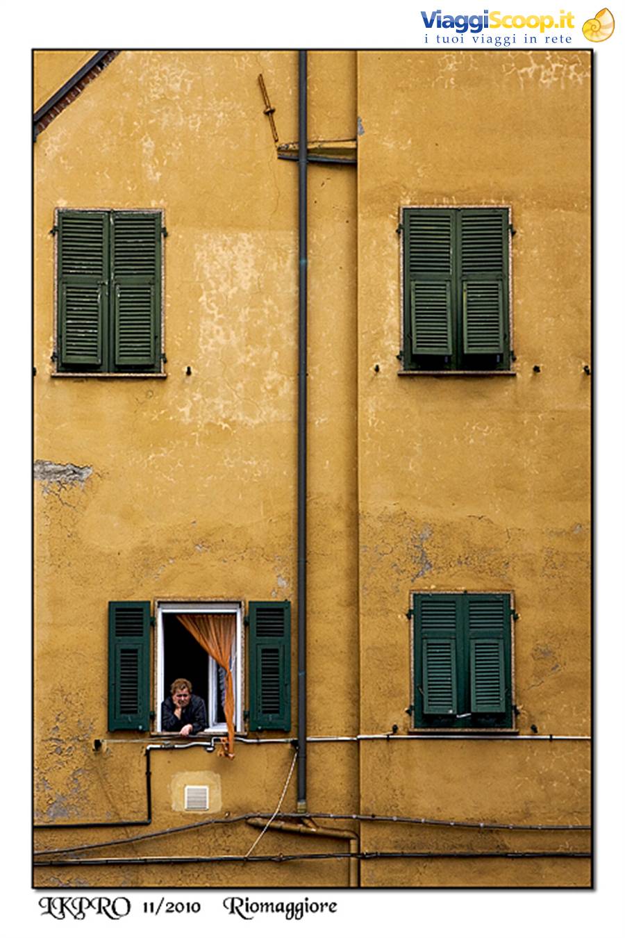 dettaglio