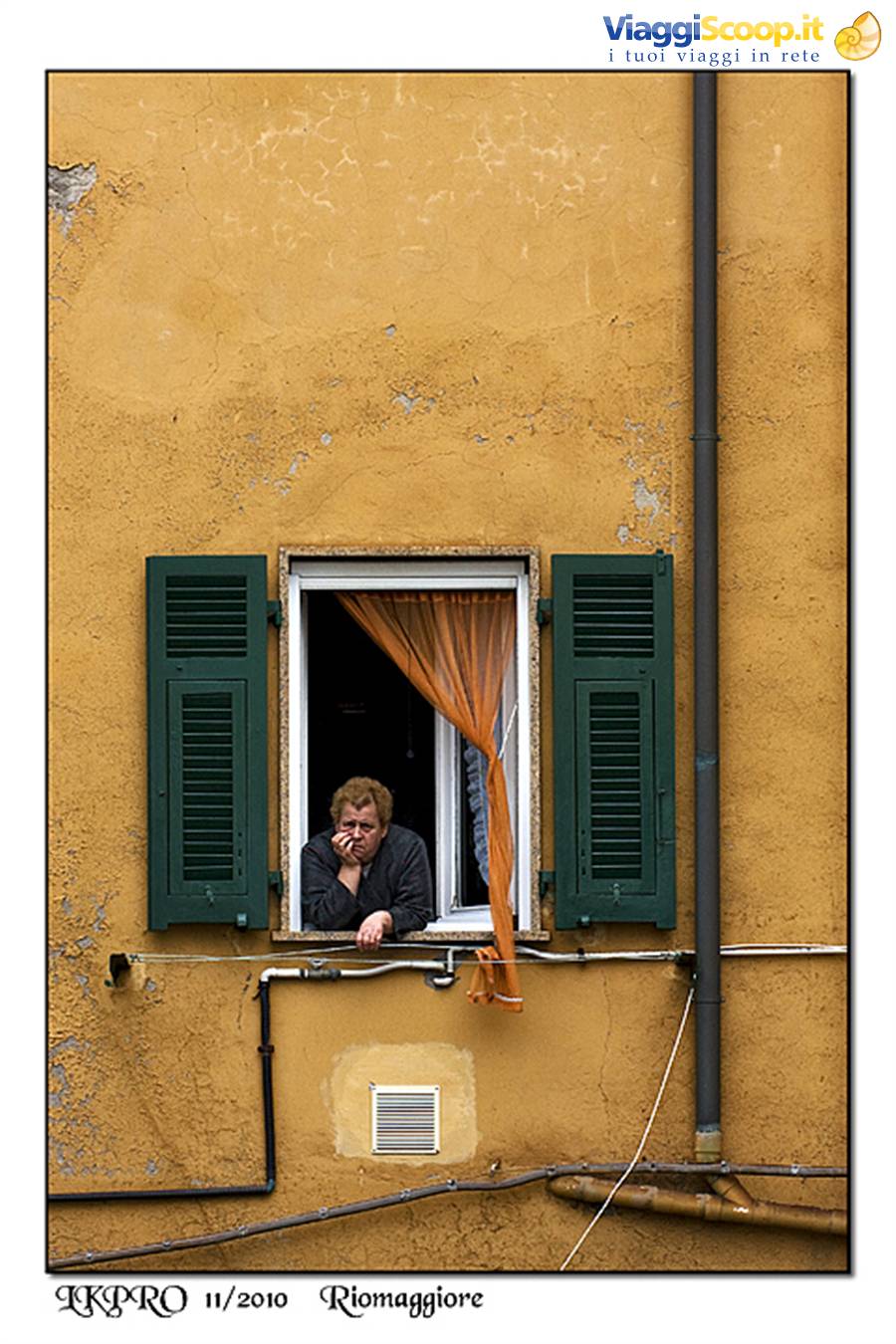 dettaglio