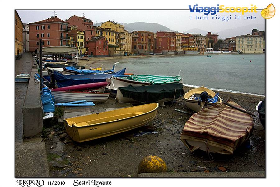 dettaglio