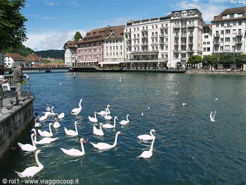 Lucerna