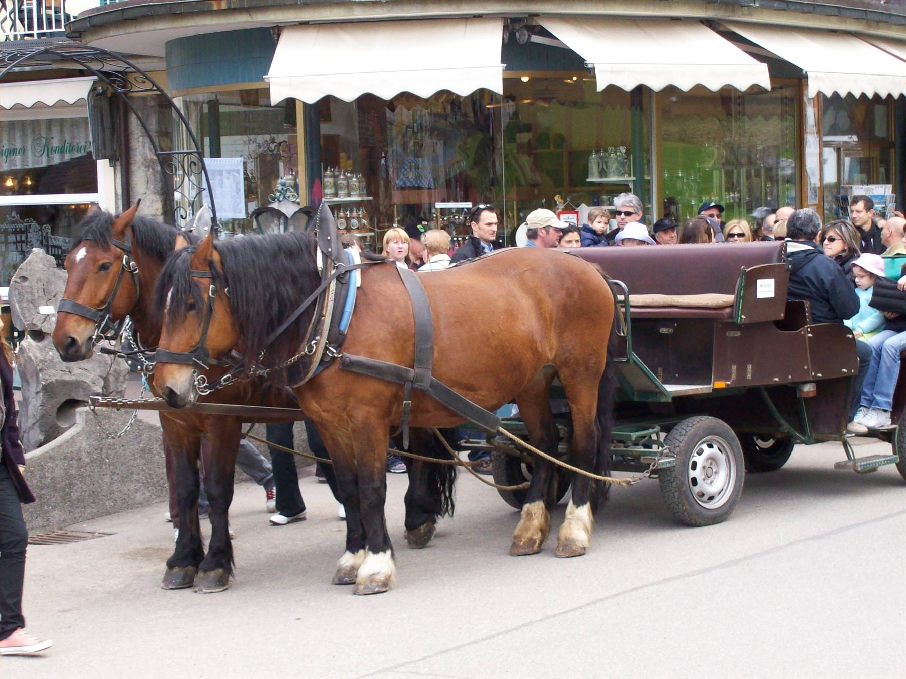 Carrozza per il castello di Neuschwanstein
