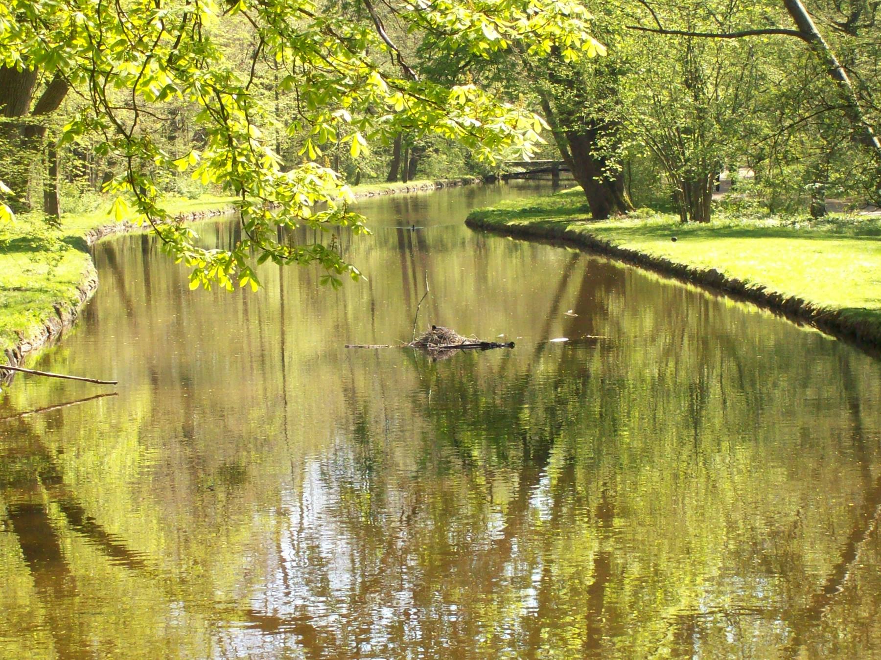 Particolare del parco