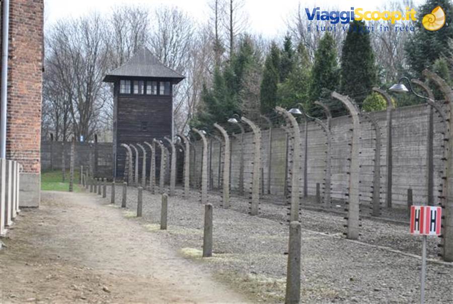 Auschwitz