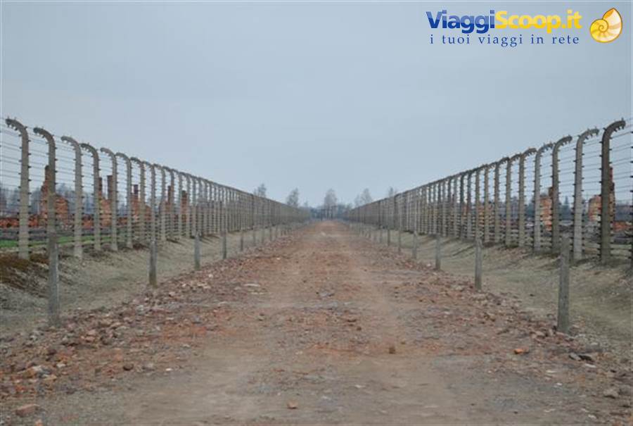 Birkenau