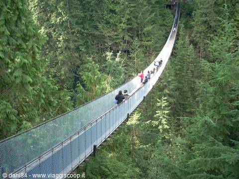 Vancouver capilano park 2
