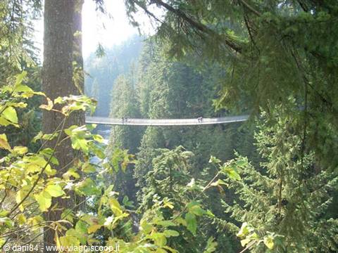 Vancouver capilano park 3