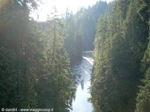 Vancouver Capilano park 4
