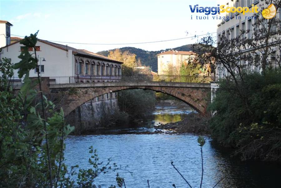 Olot