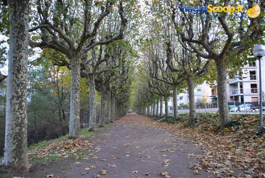 Olot