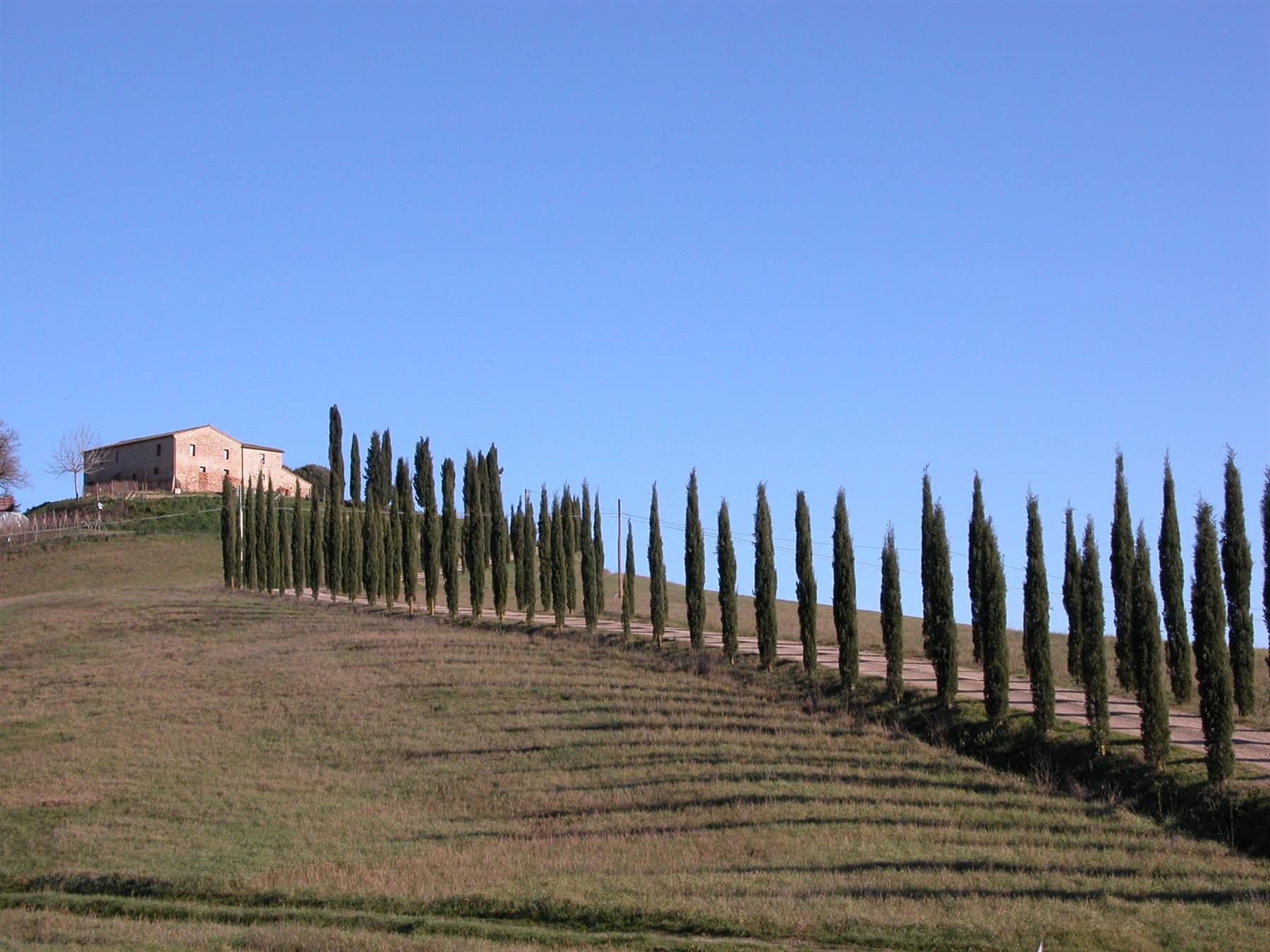 Montalcino