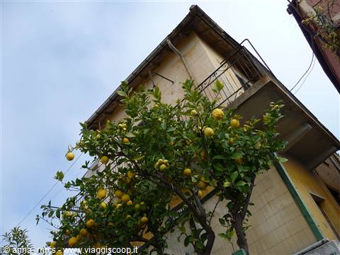 Alassio