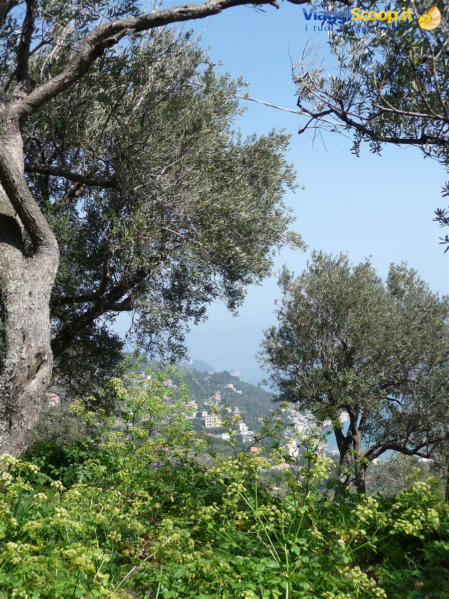 Alassio