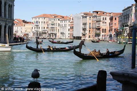 Venezia