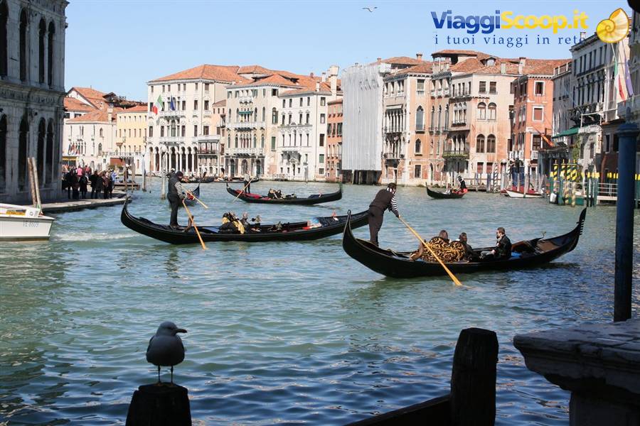Venezia