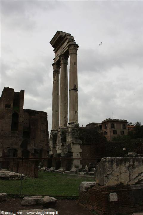 Roma